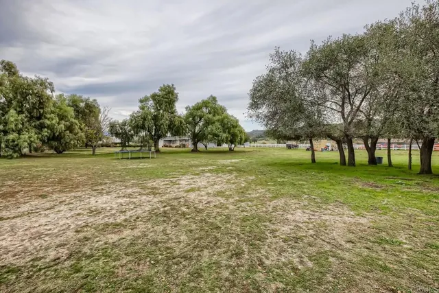 a view of a green field with trees