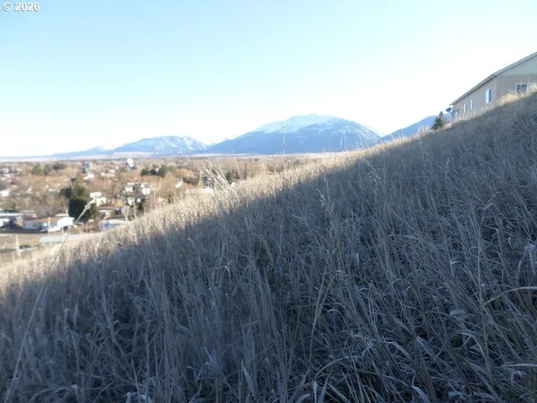 a view of city and river