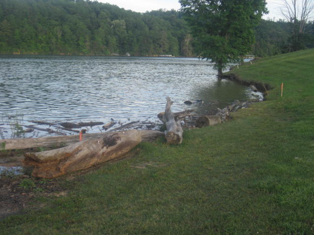 21579 Moonlight Bay Road Abingdon, VA 24211 - Photo 12 of 46 Moonlight Bay Shore Line