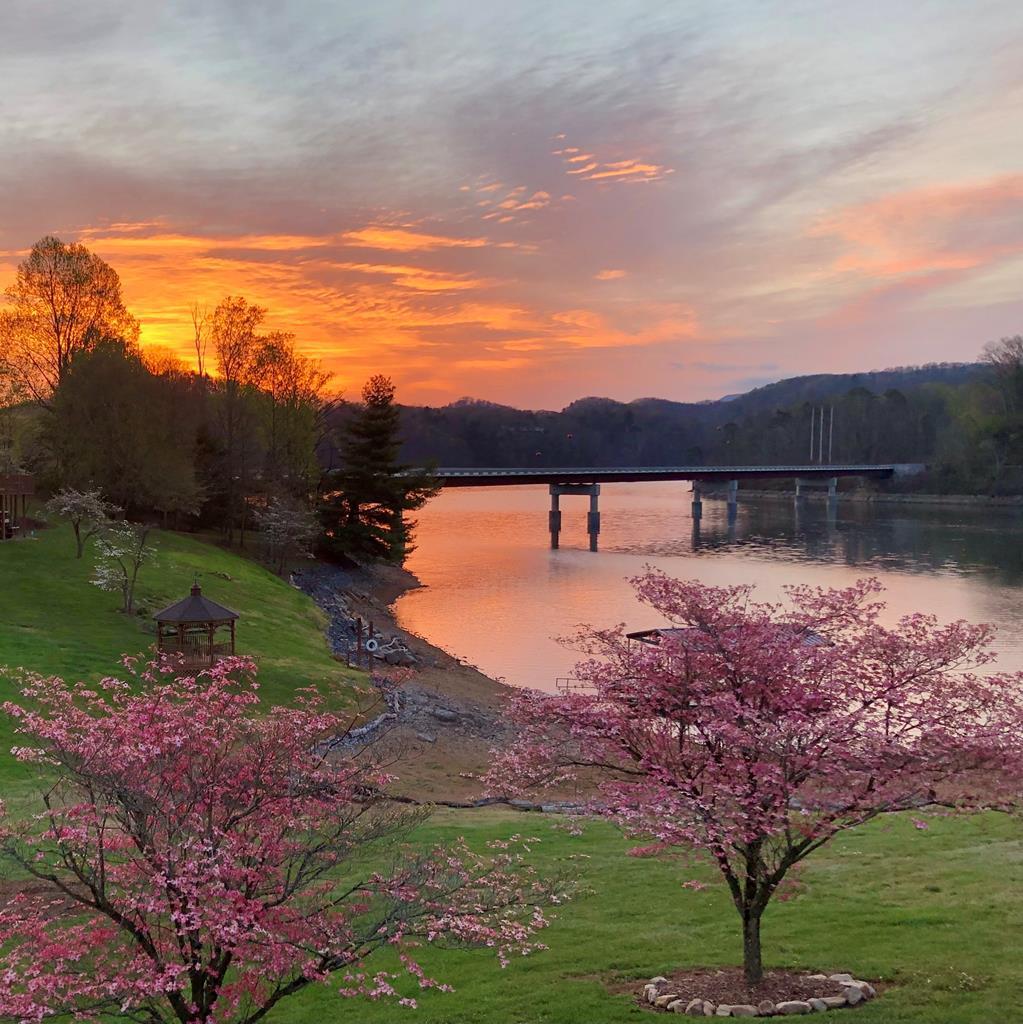 21579 Moonlight Bay Road Abingdon, VA 24211 - Photo 3 of 46 Good Morning from the Lake