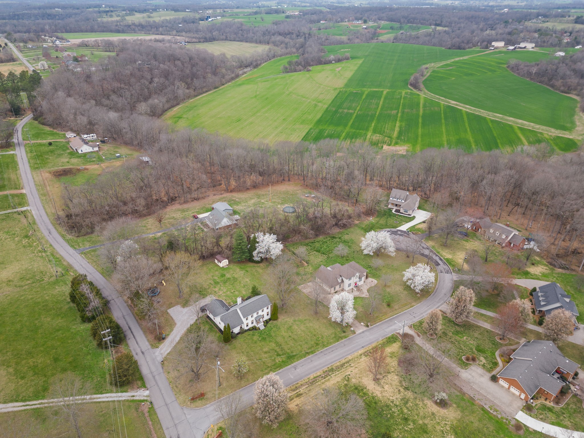 1699 Lawrence Lane Springfield, TN 37172 - Photo 2 of 31 Gallery Image 2