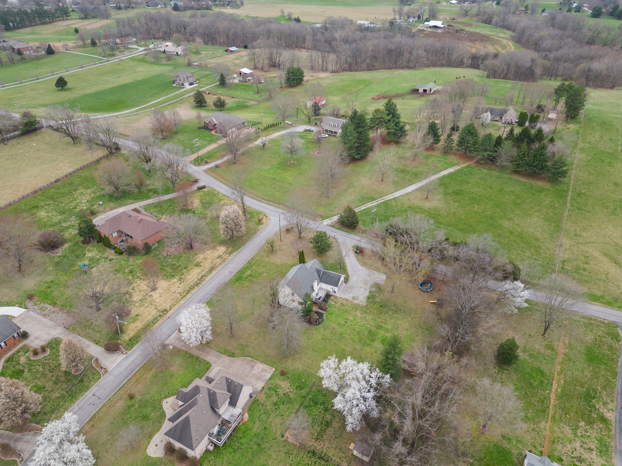 1699 Lawrence Lane Springfield, TN 37172 - Photo 30 of 31 Gallery Image 30