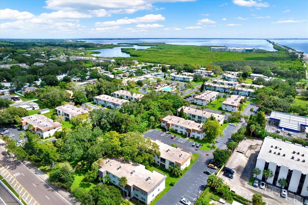 235 South McMullen Booth Road, Unit 45 Clearwater, FL 33759 - Photo 26 of 32