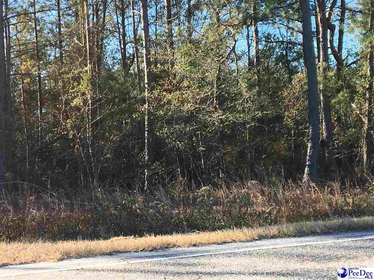 4061 West Old Camden Road McBee, SC 29101 - Photo 1 of 1 Gallery Image 1