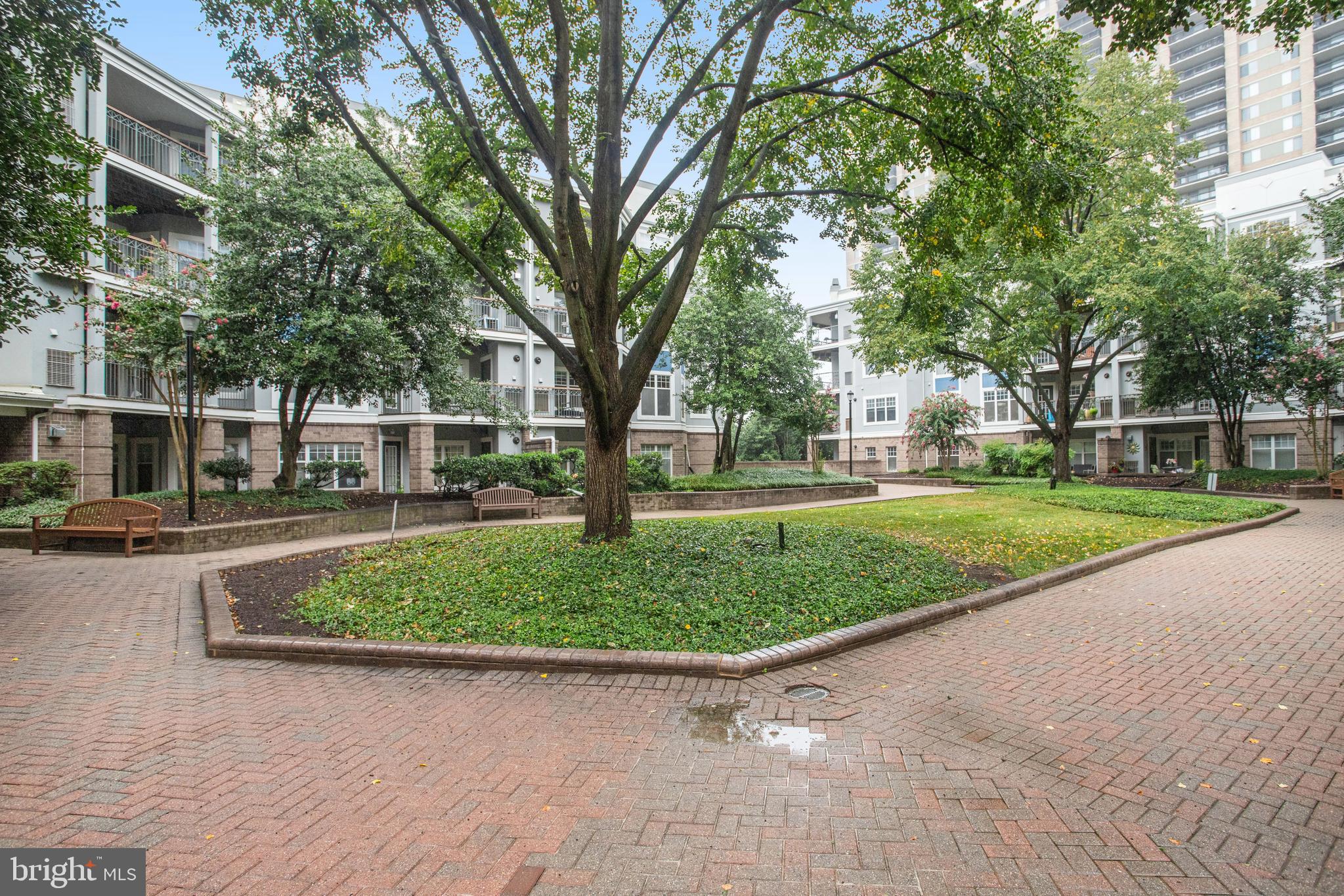 5575 Seminary Road, Unit 104 Falls Church, VA 22041 - Photo 1 of 30