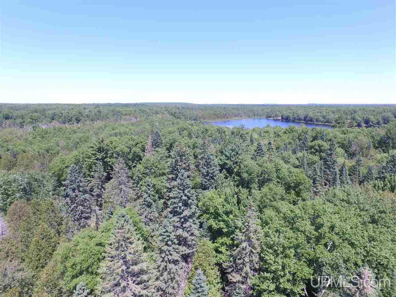 Tbd Usfs Road Munising, MI 49895 - Photo 4 of 14