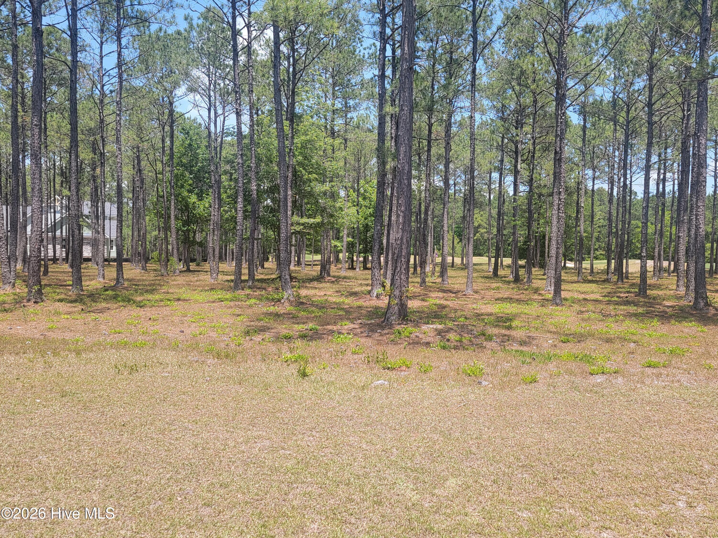 6548 Stonley Circle Southwest Ocean Isle Beach, NC 28469 - Photo 3 of 27 1000033601