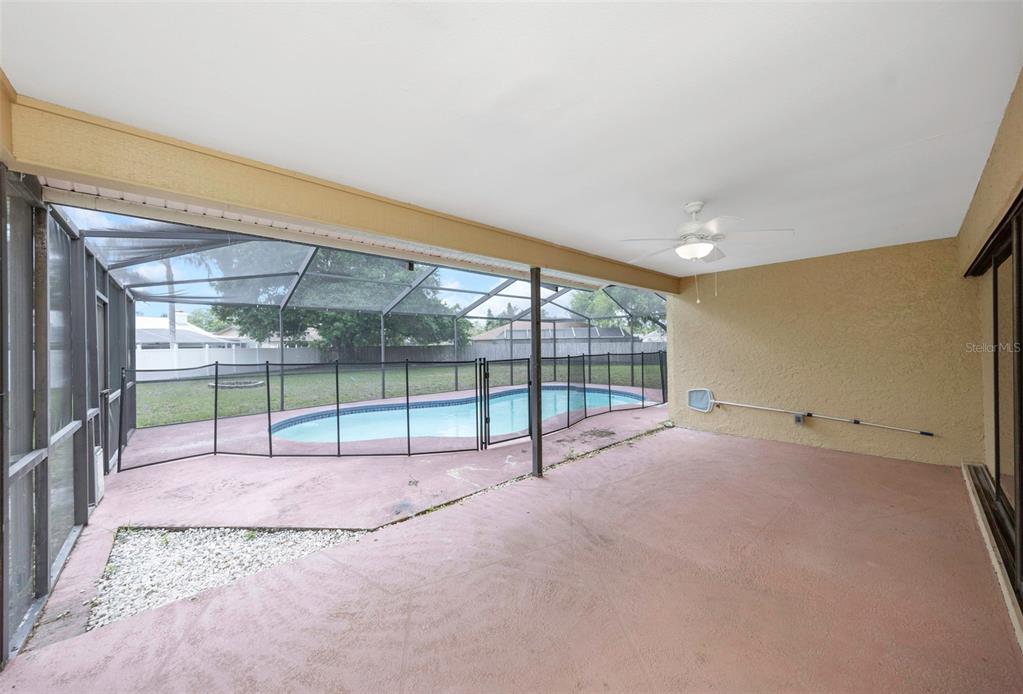 3334 Brian Road North Palm Harbor, FL 34685 - Photo 35 of 35