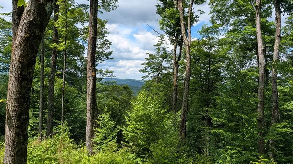 $35,000 | 285 Davis Lane, Hamden, NY 13782