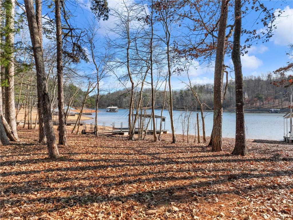 5651 Old Wilkie Road Gainesville, GA 30506 - Photo 10 of 78 a backyard of a house with lots of green space