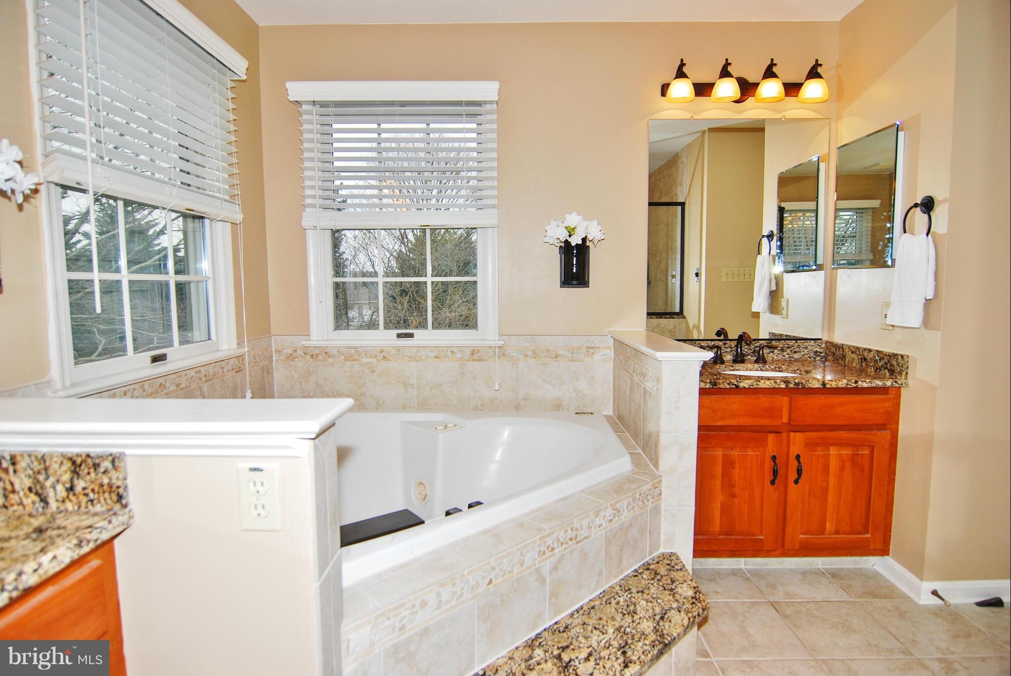 2216 Banner Hill Road Frederick, MD 21702 - Photo 16 of 30 Bath (Master)