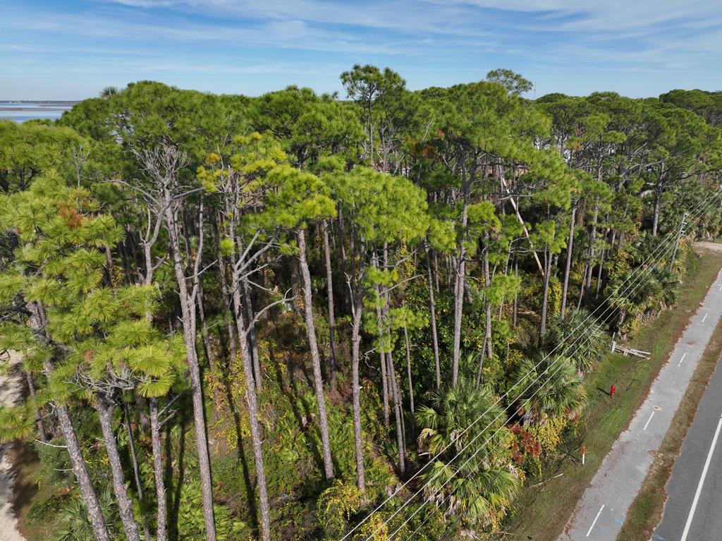 Tract B Cape San Blas Road Port St. Joe, FL 32456 - Photo 2 of 21