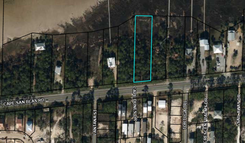 Tract B Cape San Blas Road Port St. Joe, FL 32456 - Photo 8 of 21