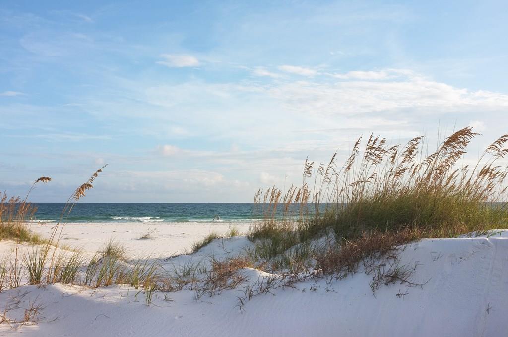 Tract B Cape San Blas Road Port St. Joe, FL 32456 - Photo 10 of 21