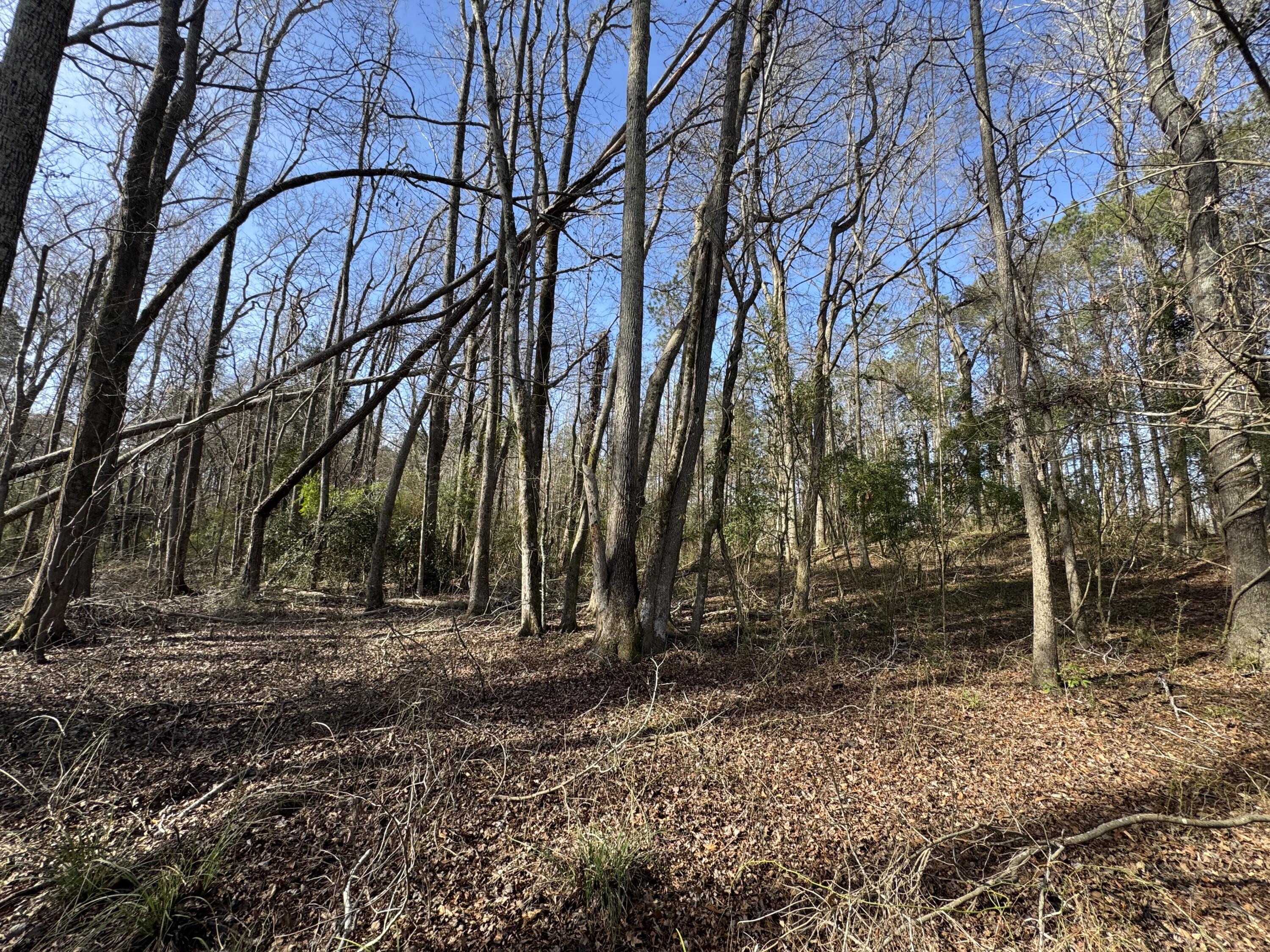 1 Planer Road Edgefield, SC 29824 - Photo 12 of 13