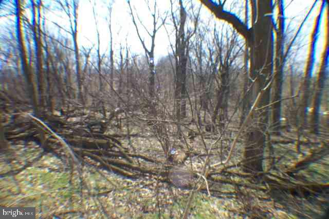 Lot #3 Lebo Road Carlisle, PA 17015 - Photo 4 of 7 Gallery Image 4