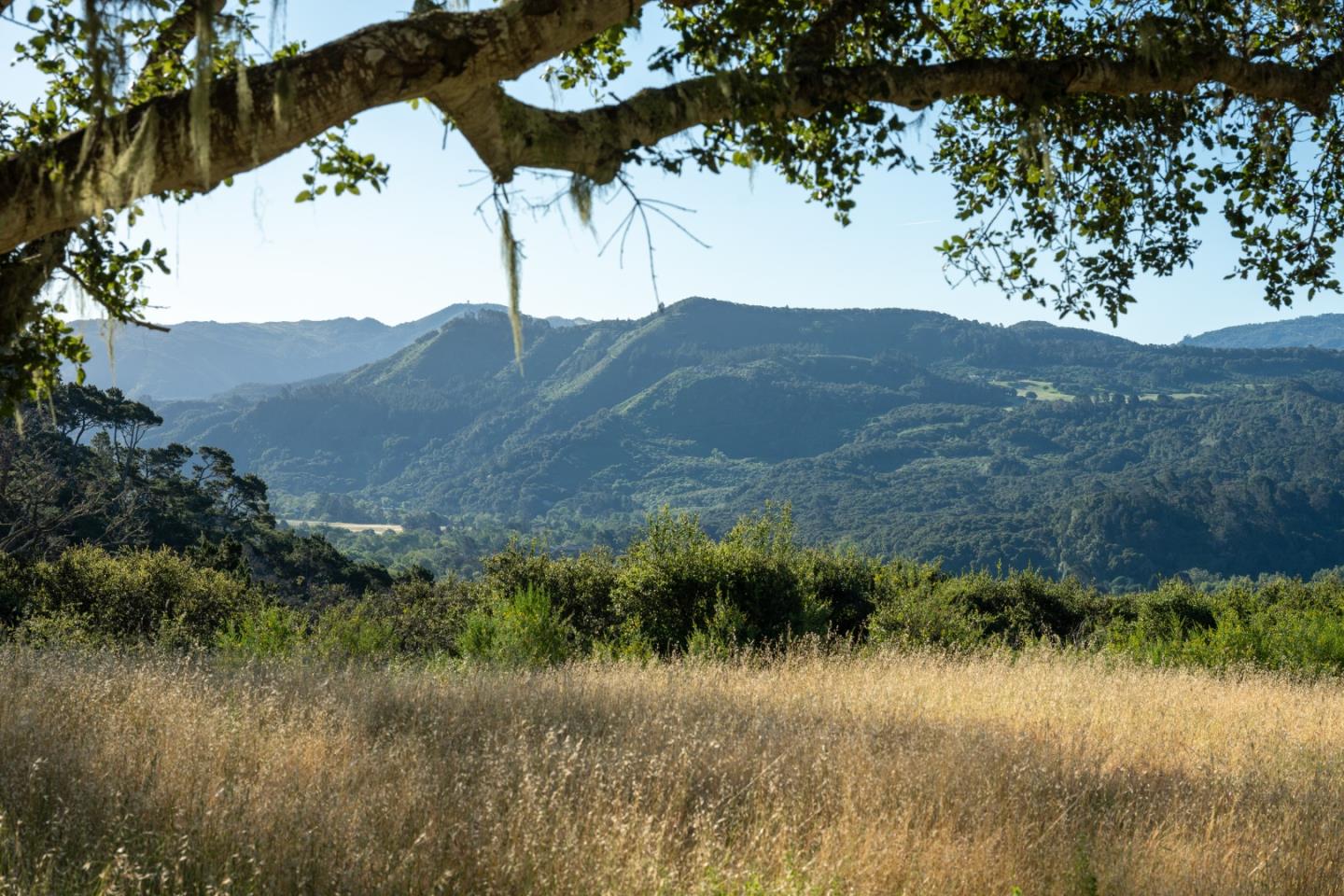 5155 Carmel Valley Road Carmel, CA 93923 - Photo 22 of 48