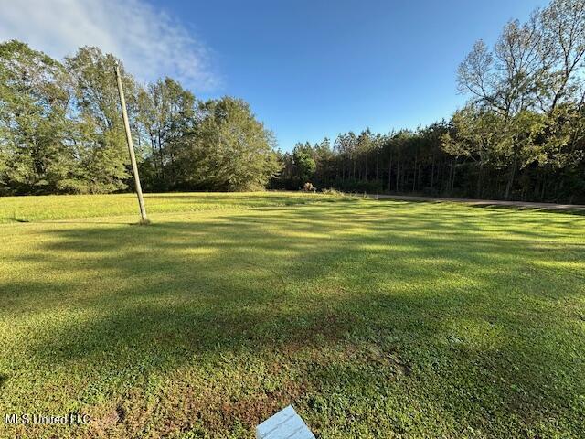 319 Ragan Street Pelahatchie, MS 39145 - Photo 35 of 35 IMG_9119
