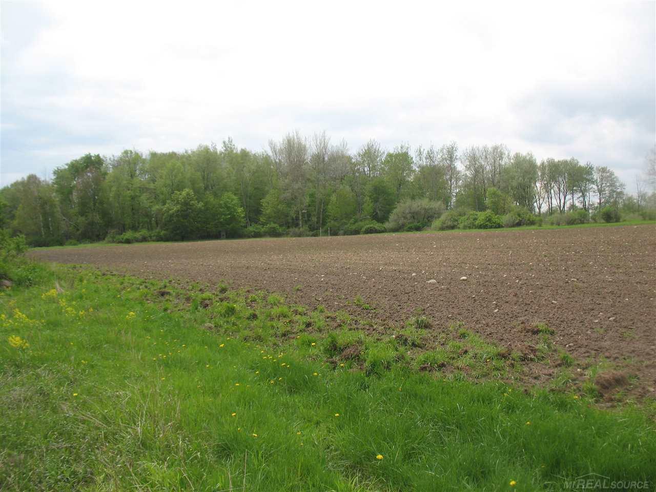 375 Charleston Road Ubly, MI 48475 - Photo 57 of 67 31380513-56.JPG