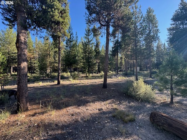 Bear Flat Road, Unit 100 Chemult, OR 97731 - Photo 6 of 22 Gallery Image 6