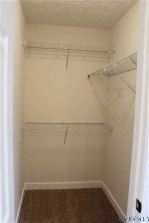 380 Barefords Mill Road Dunnsville, VA 22454 - Photo 16 of 19 WALK IN CLOSET IN PRIMARY - EXAMPLE PHOTO