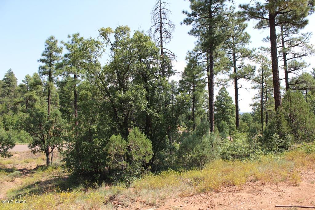 6004 Rim Road Lakeside, AZ 85929 - Photo 13 of 14 Gallery Image 13