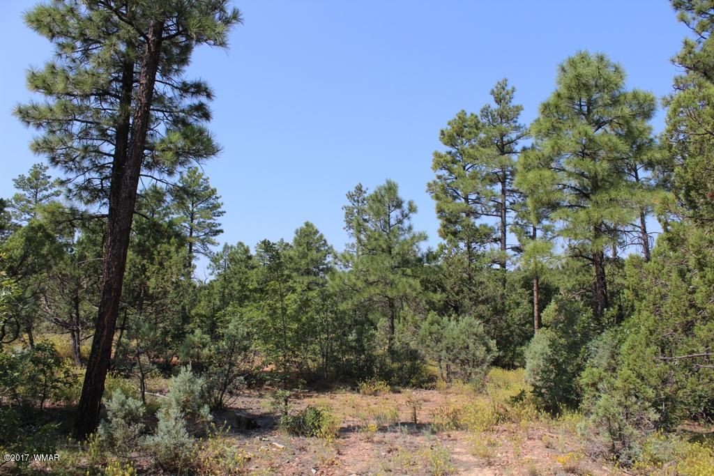 6004 Rim Road Lakeside, AZ 85929 - Photo 6 of 14 Gallery Image 6