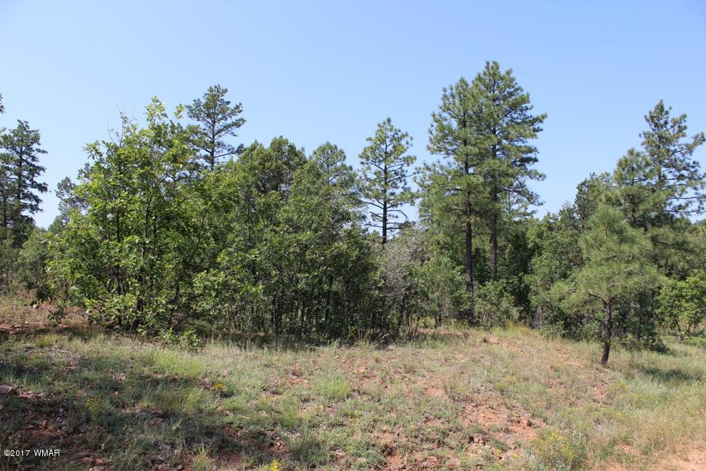 6004 Rim Road Lakeside, AZ 85929 - Photo 7 of 14 Gallery Image 7
