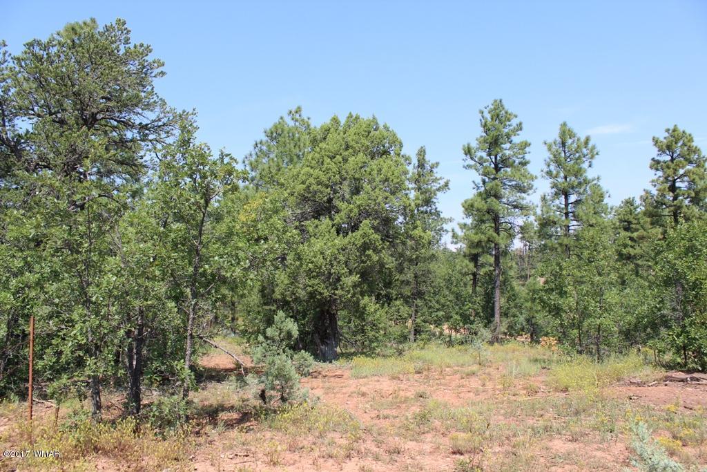 6004 Rim Road Lakeside, AZ 85929 - Photo 8 of 14 Gallery Image 8