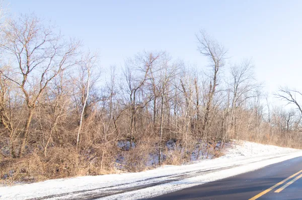 $60,000 | Lt32 Big Ben Road, Eden, WI 53019