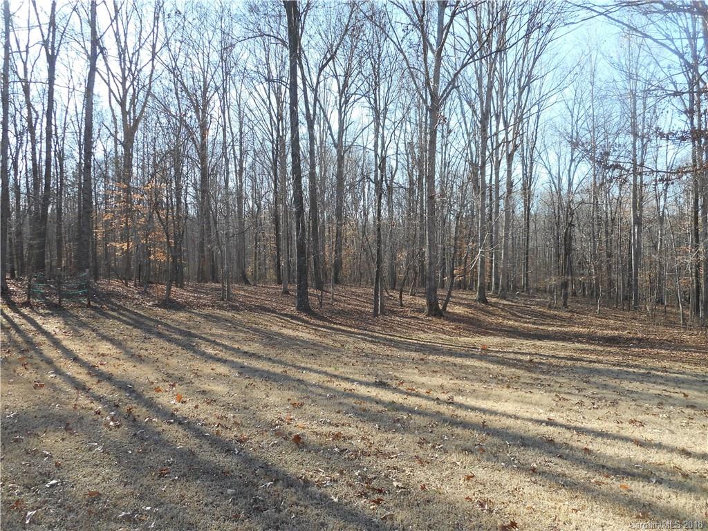 1050 Branch Road York, SC 29745 - Photo 19 of 24 Gallery Image 19