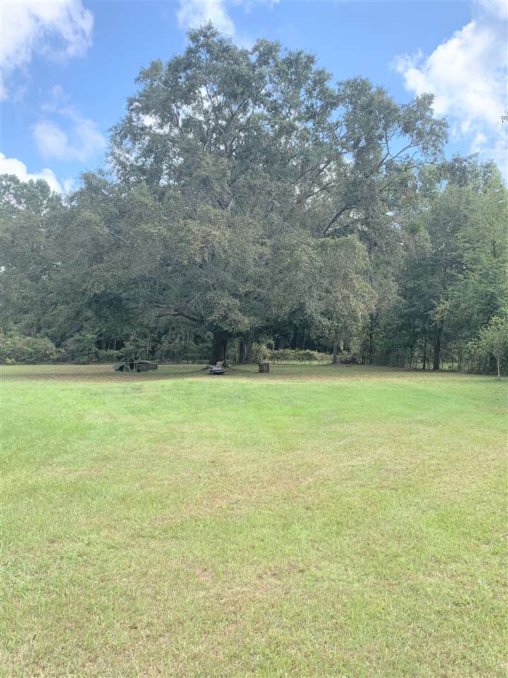 679 Northeast Homesite Road Madison, FL 32340 - Photo 1 of 20