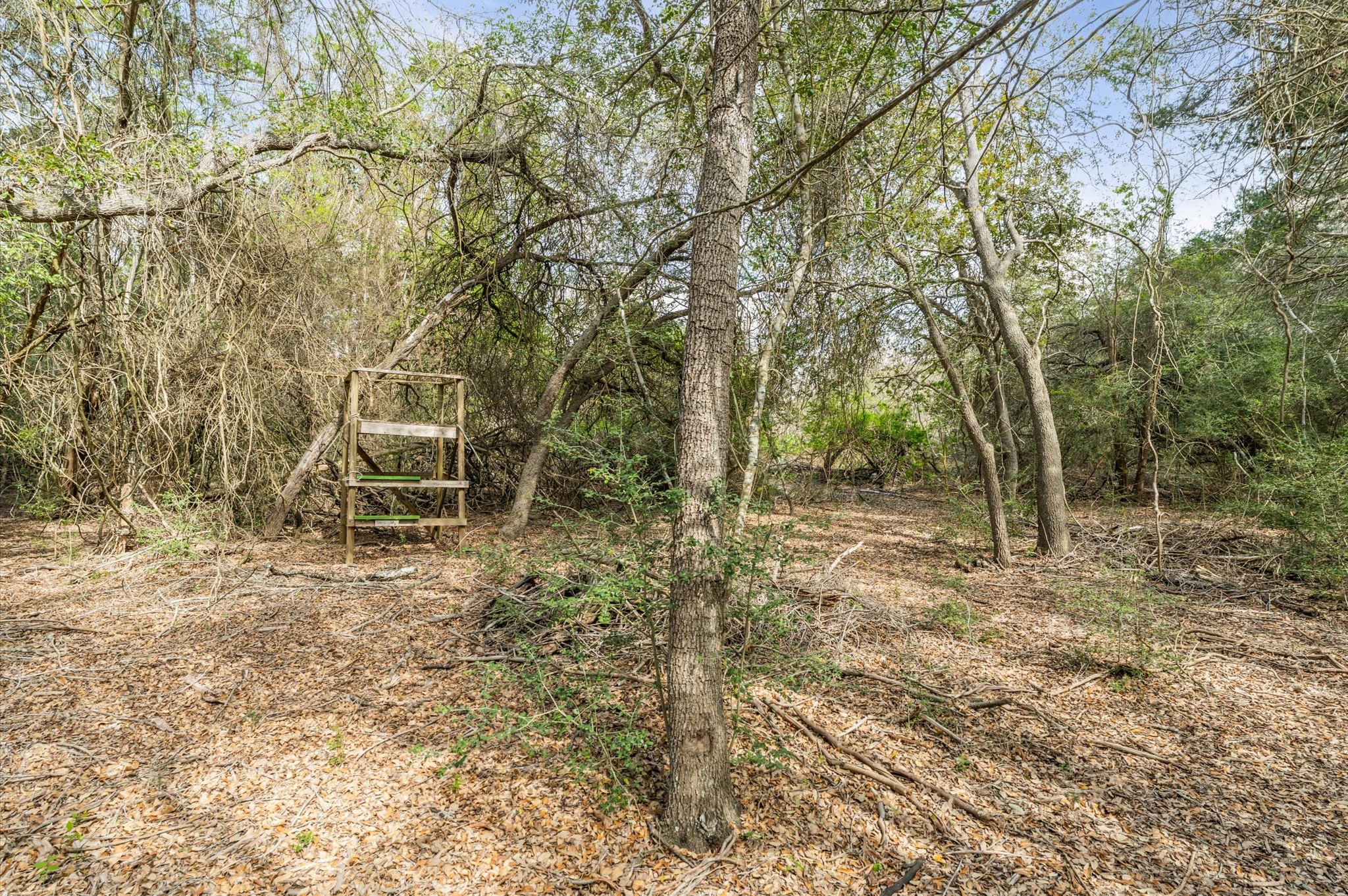 1221 Abel Road New Ulm, TX 78950 - Photo 13 of 15 Rustic wooden deer stand, ideal for hunting on the property.
