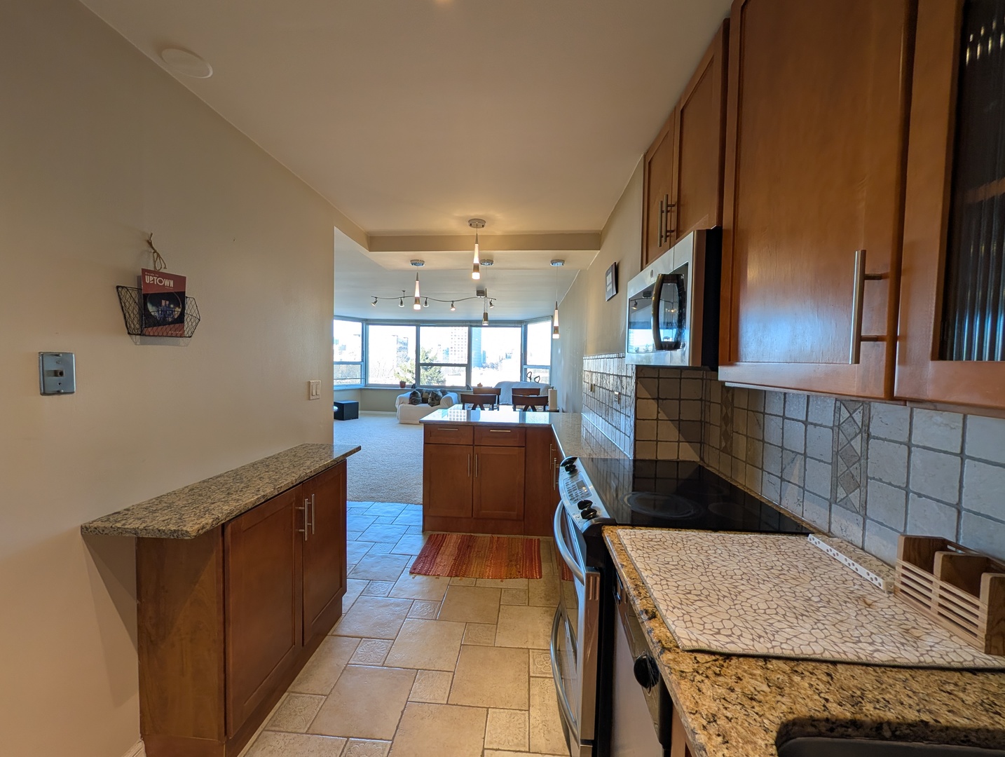 720 West Gordon Terrace, Unit 6K Chicago, IL 60613 - Photo 6 of 32