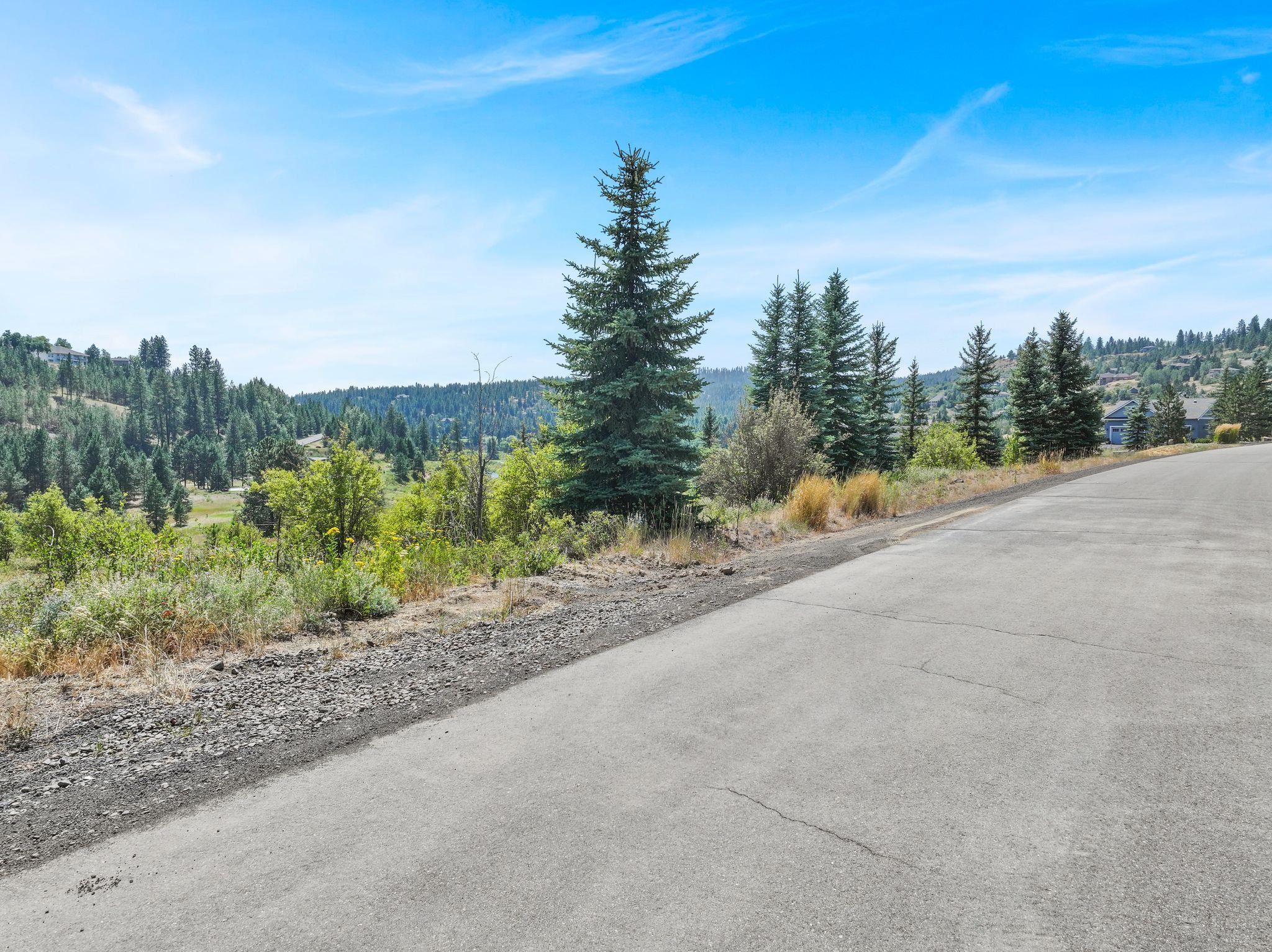 11425 South Fairway Ridge Lane Spokane, WA 99224 - Photo 12 of 20