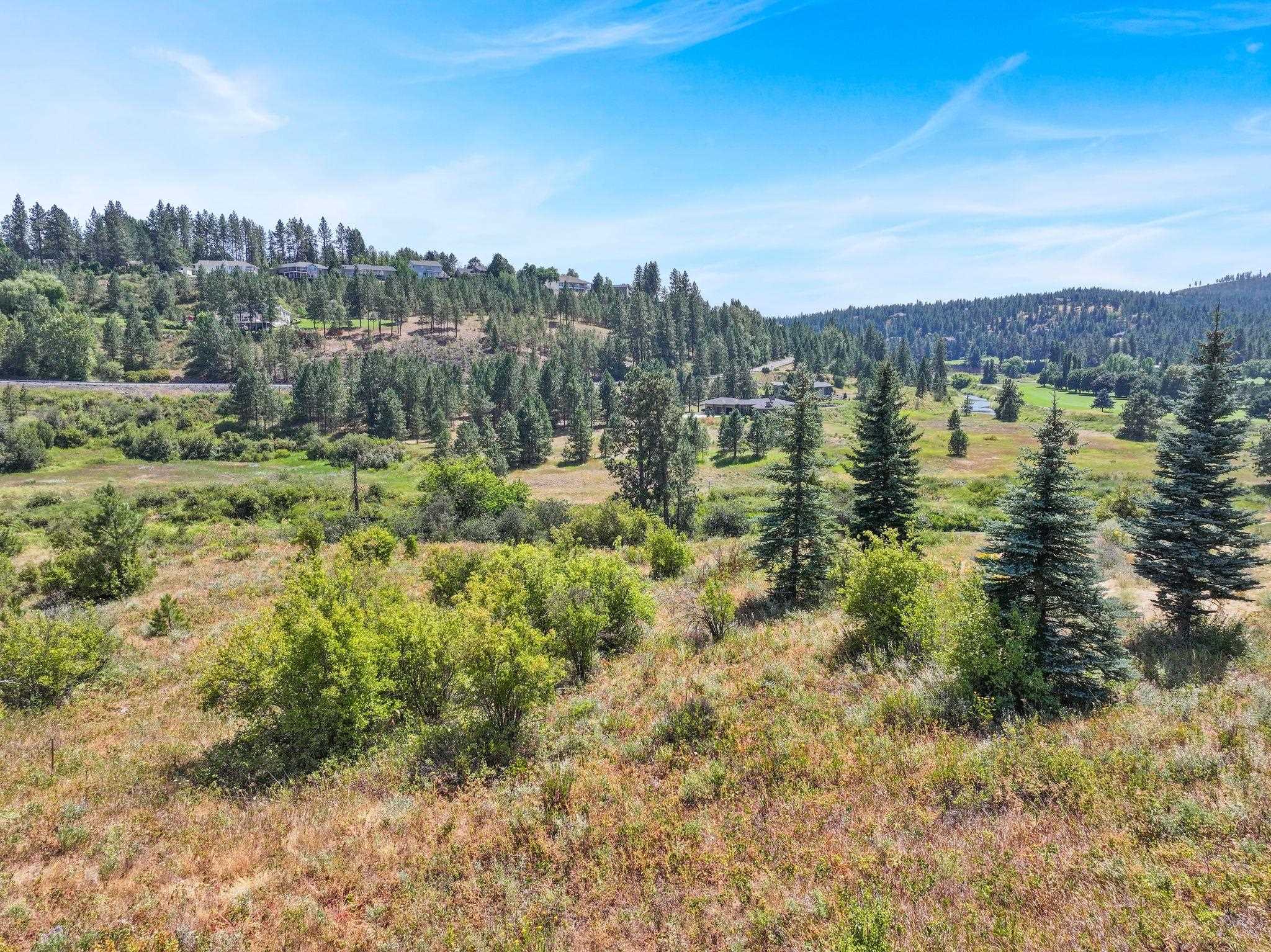 11425 South Fairway Ridge Lane Spokane, WA 99224 - Photo 10 of 20