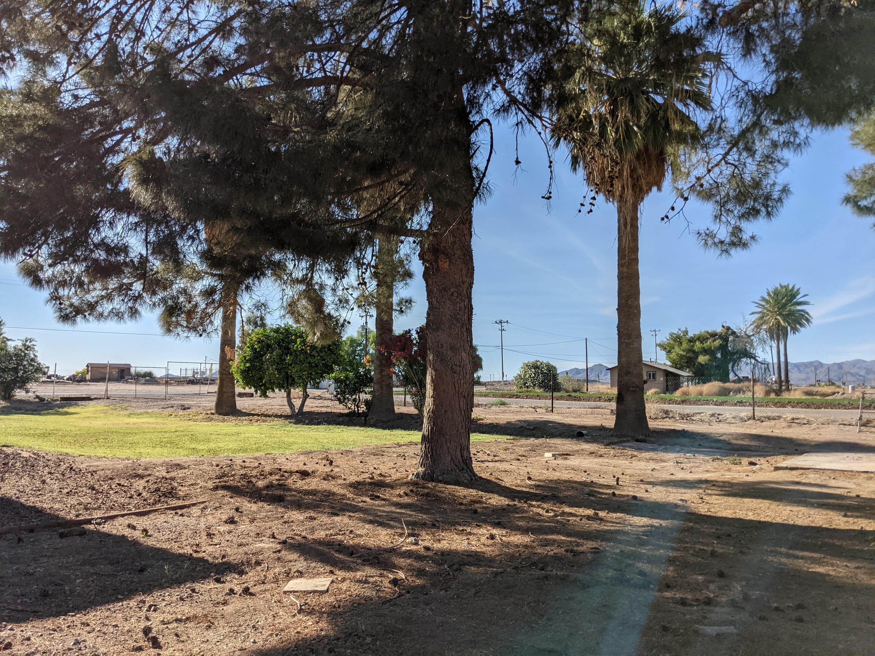 6847 South Rainbow Road Buckeye, AZ 85326 - Photo 12 of 62 PXL_20210430_235928107