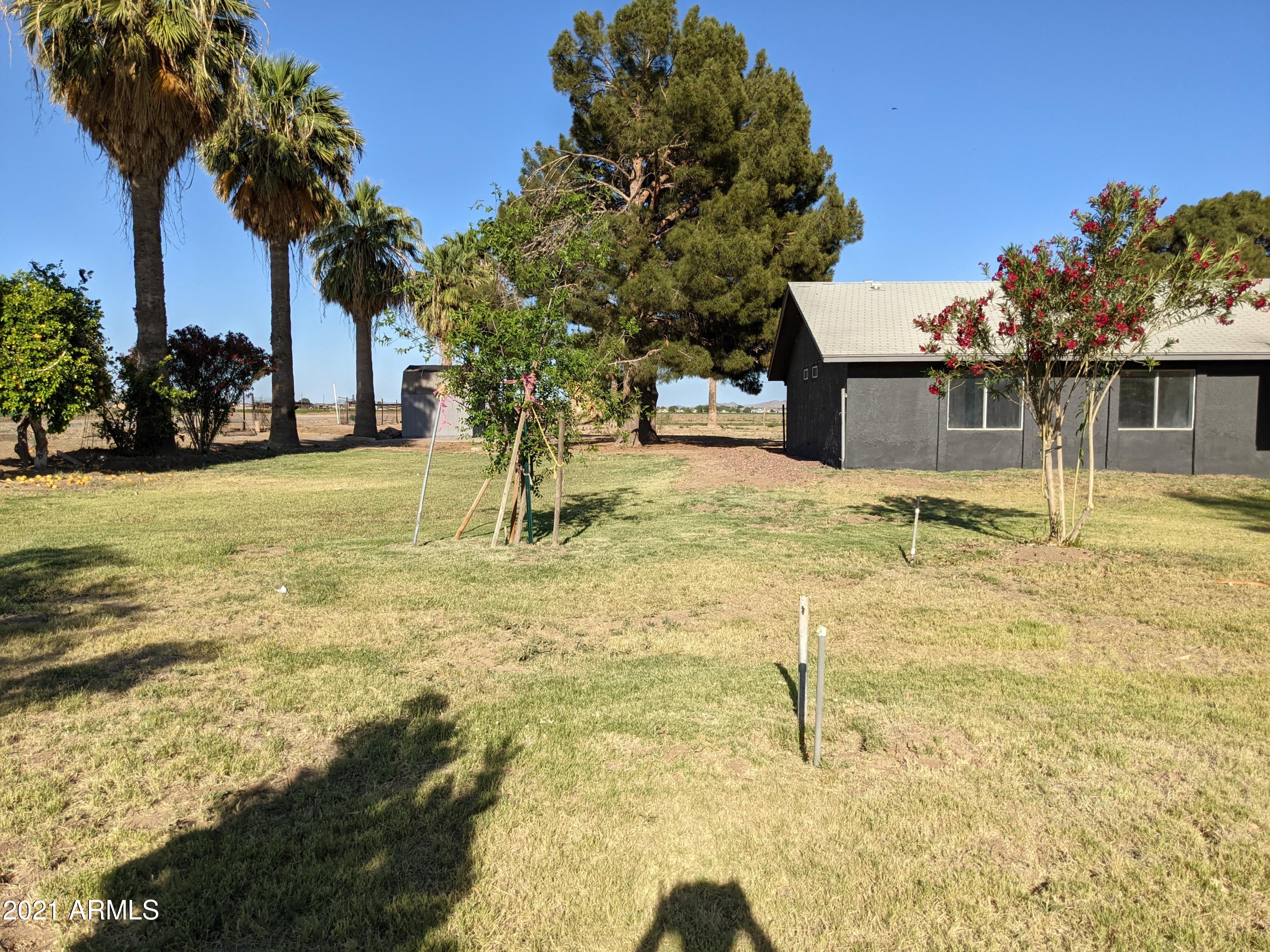 6847 South Rainbow Road Buckeye, AZ 85326 - Photo 9 of 62 PXL_20210501_000105358