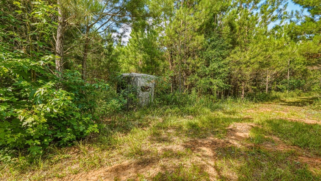 0 Harry Priddy Road Americus, GA 31719 - Photo 18 of 36 Gallery Image 18