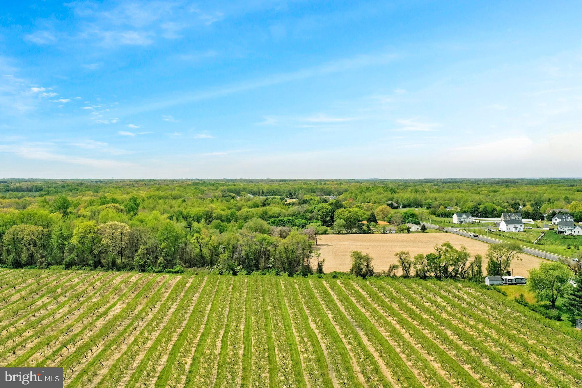 Mill Road Mullica Hill, NJ 08062 - Photo 21 of 38