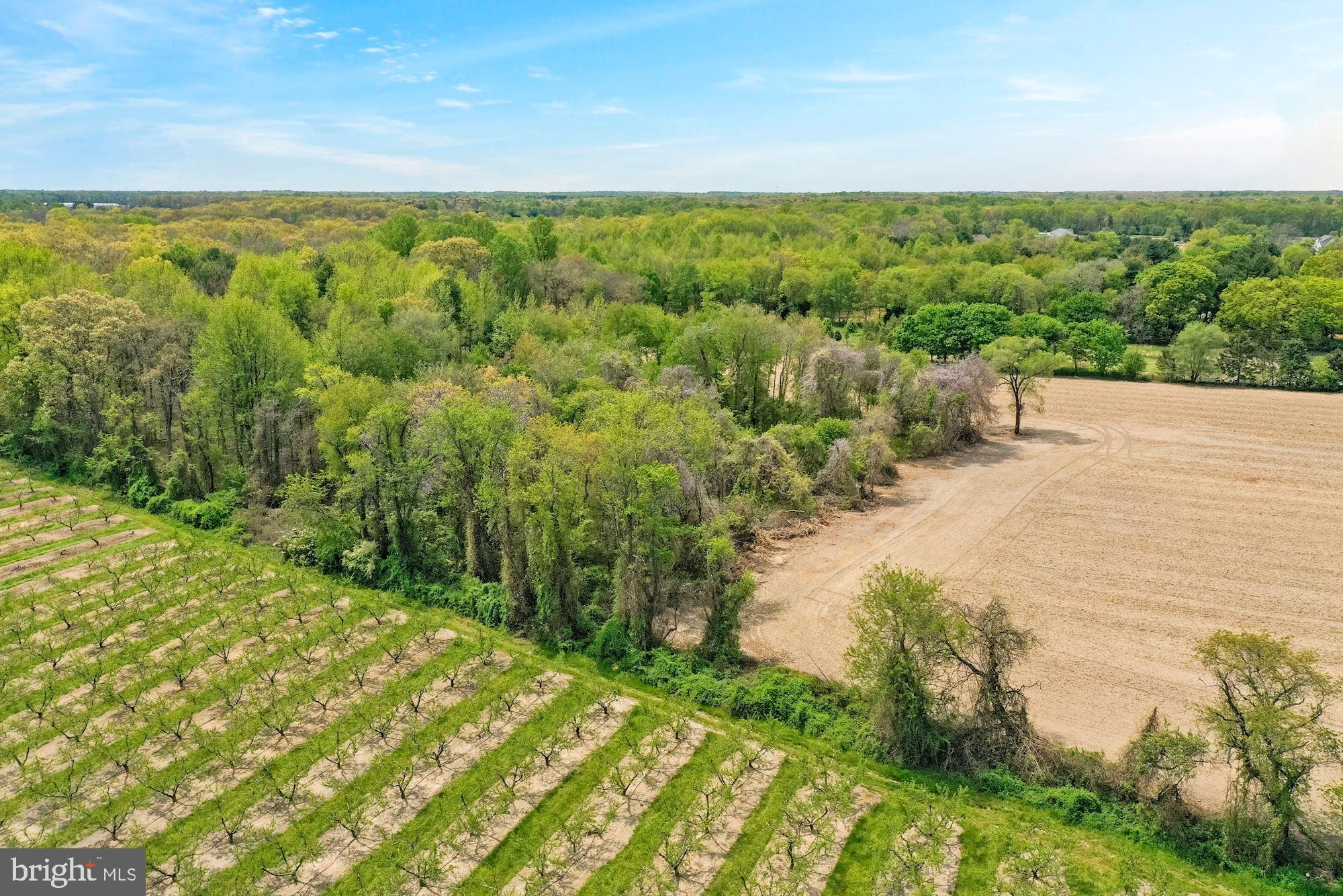 Mill Road Mullica Hill, NJ 08062 - Photo 32 of 38