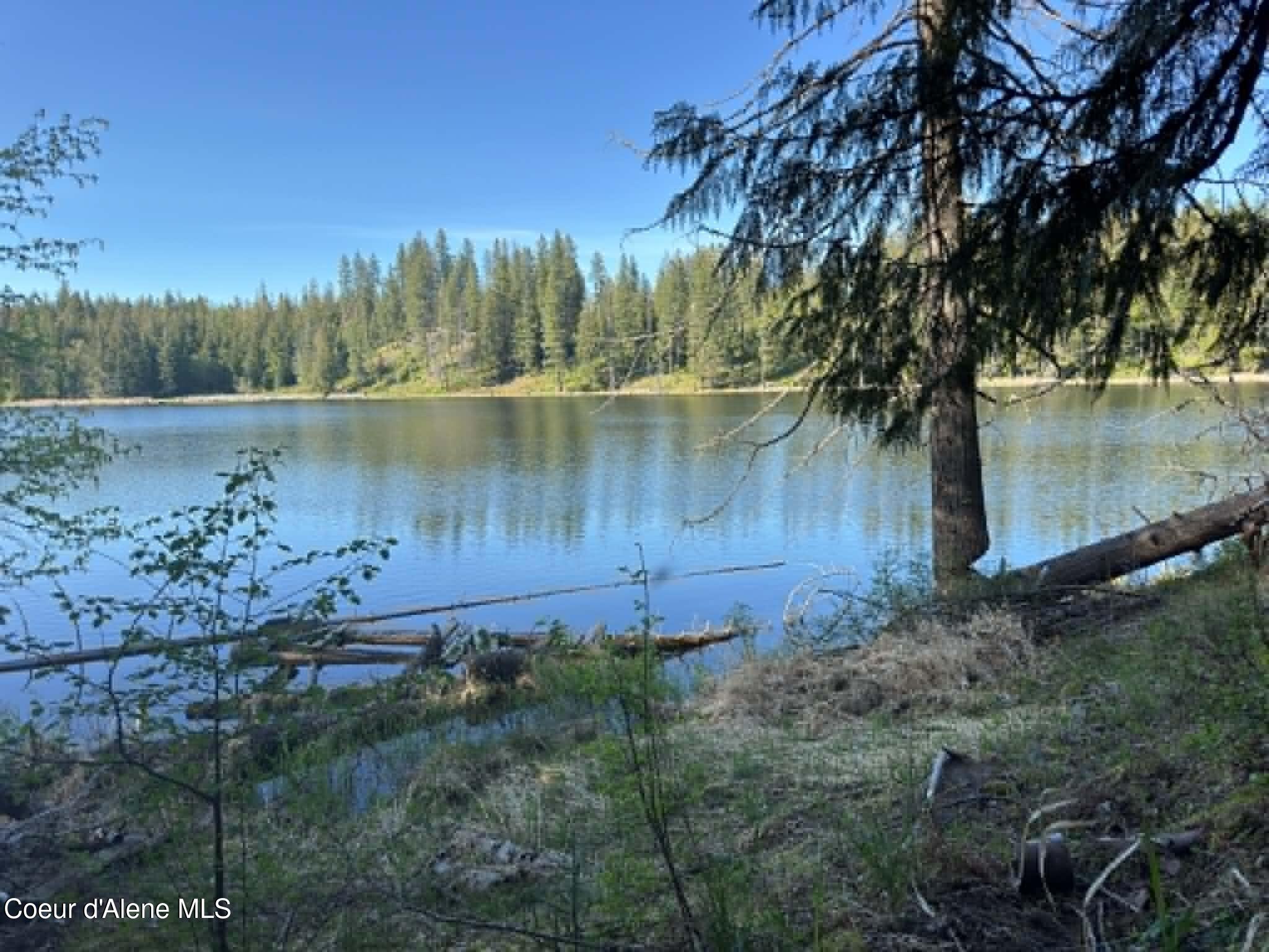 90 Shawnee Path Sagle, ID 83860 - Photo 17 of 47 b18fcbef-6f6c-41d3-88d7-3f237fdc6f73