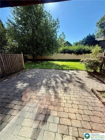 a view of a yard with plants and large trees