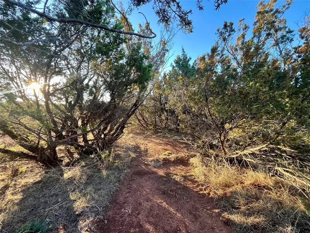 a view of a yard with a tree
