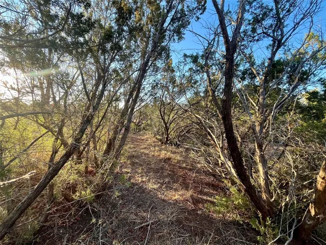 a view of an ocean and mountain