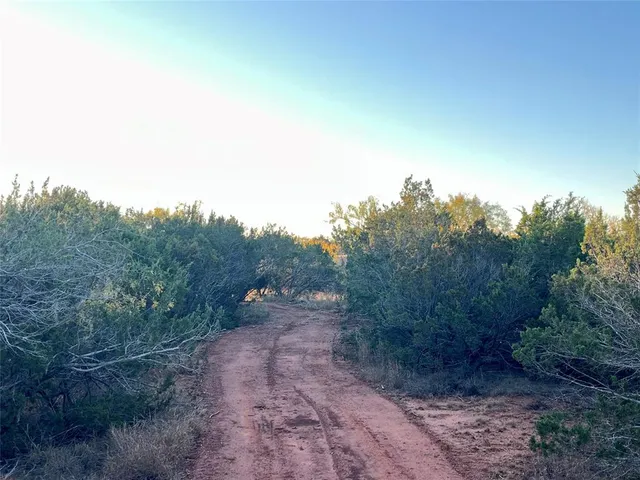 a view of a yard with a tree