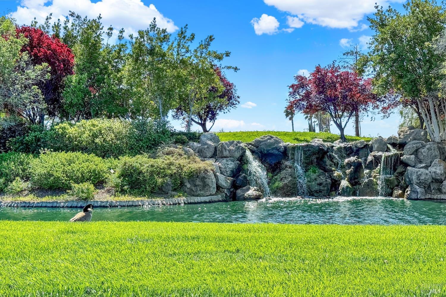 390 Edgewood Drive Rio Vista, CA 94571 - Photo 81 of 99