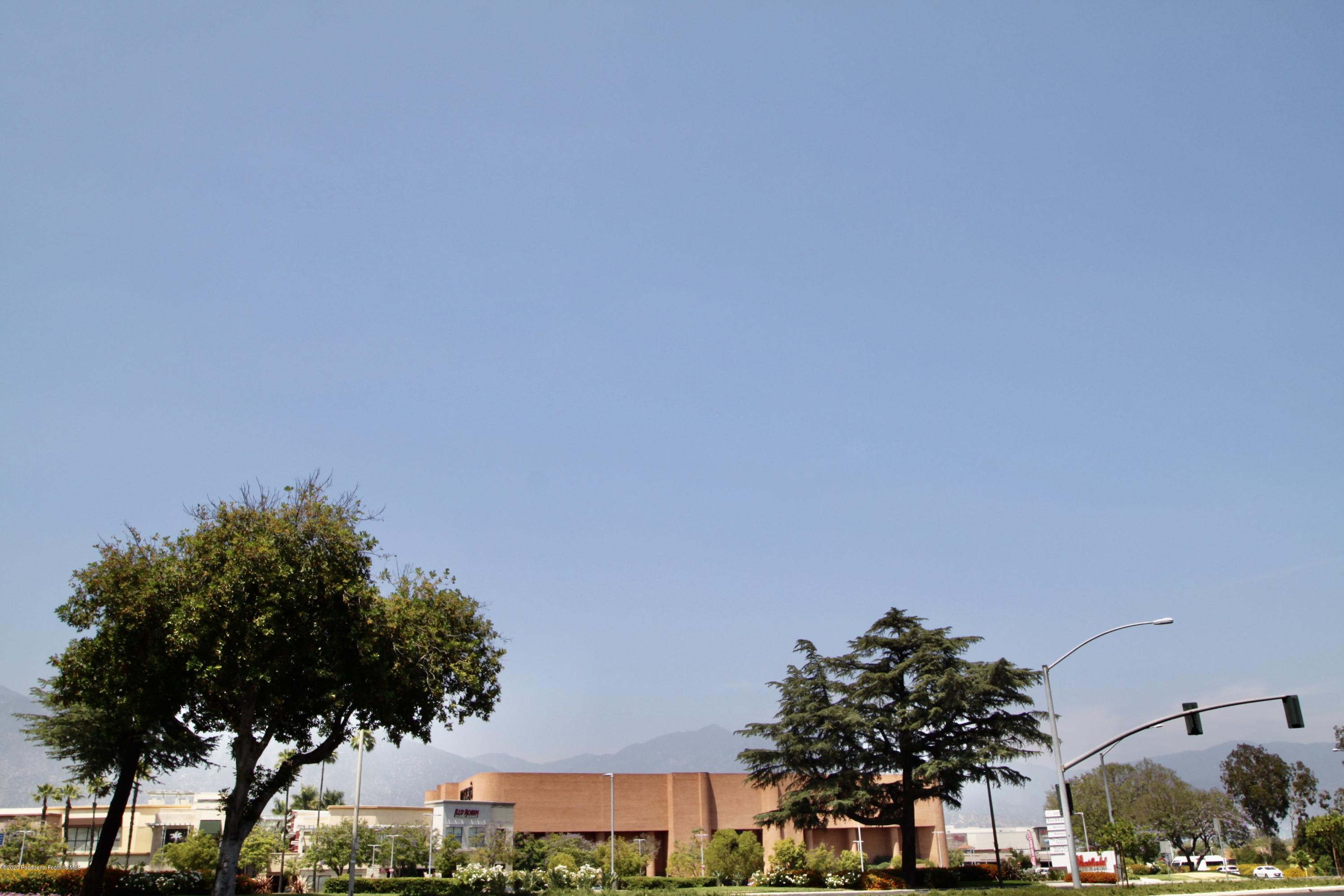 901 West Duarte Road Arcadia, CA 91007 - Photo 6 of 11 a picture of a tree with a building in the background