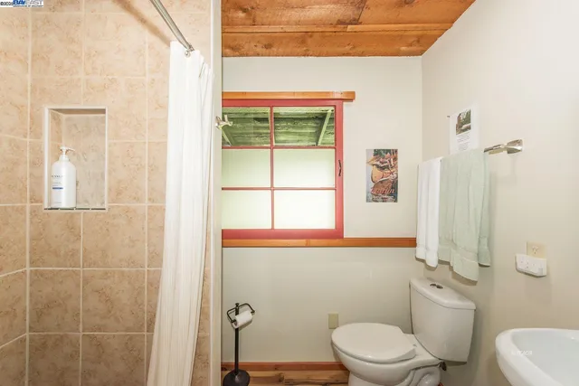 a bathroom with a toilet a sink and a shower