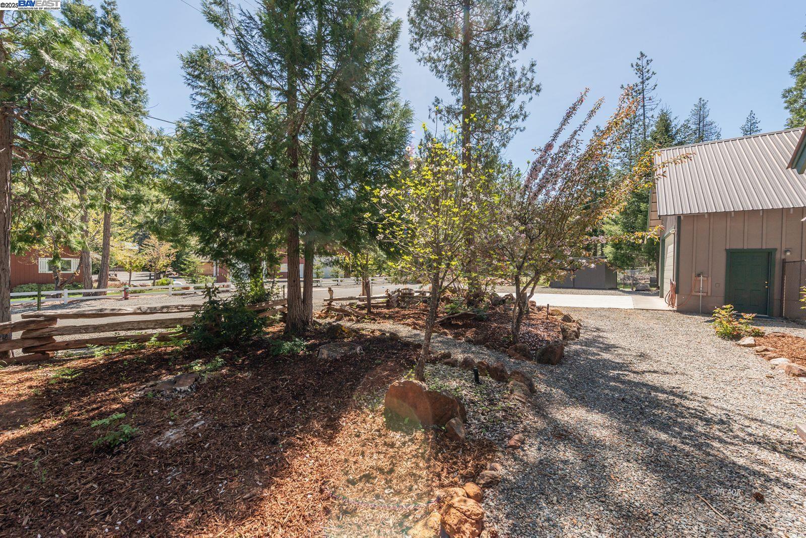 21 Cedar Road Trinity Center, CA 96091 - Photo 34 of 50 a backyard of a house with lots of green space